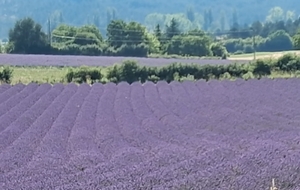 687269b872e7e_IMG20250712WA0004.jpg