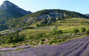 Randonnée des coteaux